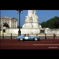 DSC08488.JPG