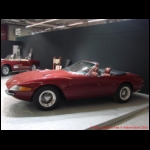 DSC08729.JPG