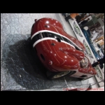 DSC08790.JPG