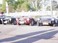trio d'AC Cobra 289 MkII 1964