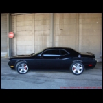 DSC08831.JPG