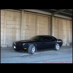 DSC08834.JPG