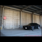 DSC08845.JPG